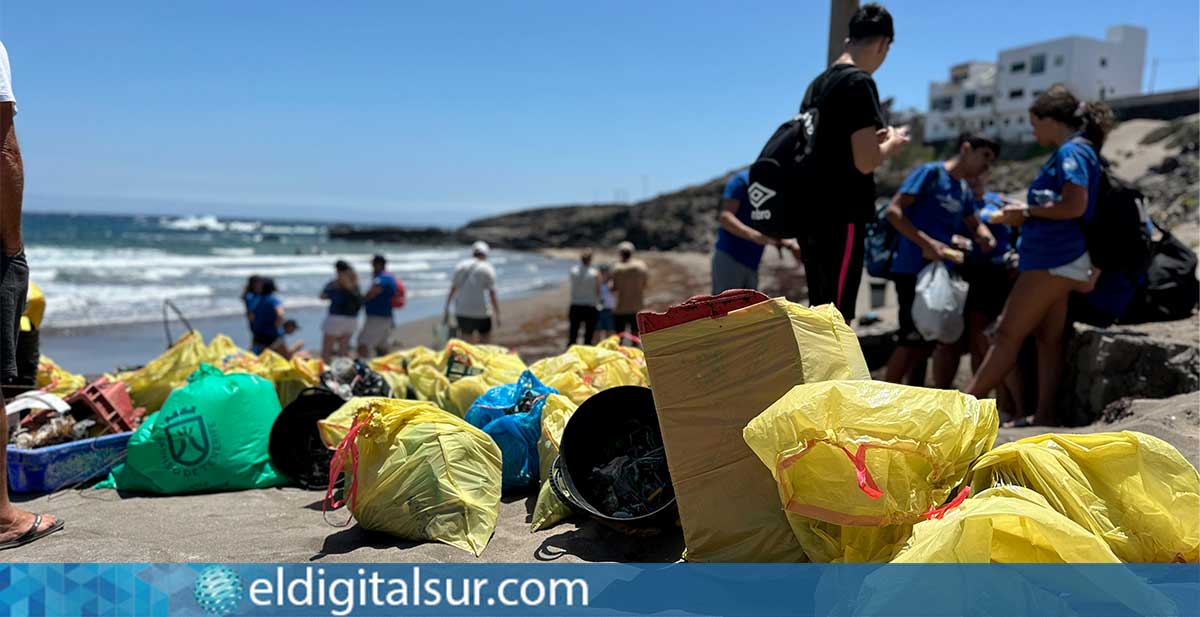 Estudiantes, buzos y voluntarios retiraron residuos junto a Fred. Olsen Express en Playa Grande, El Porís de Arico