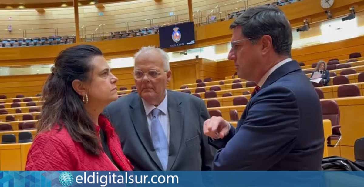 Los senadores del PP Rosa Viera, Emilio Navarro y Jaime Morales