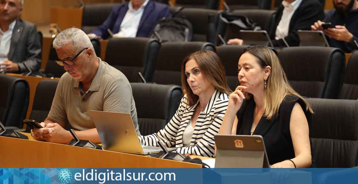 Marta Arocha (PSOE) en el Senado
