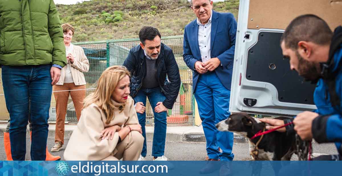 Rosa Dávila (CC), presidenta del Cabildo de Tenerife, y Lope Afonso (PP), vicepresidente