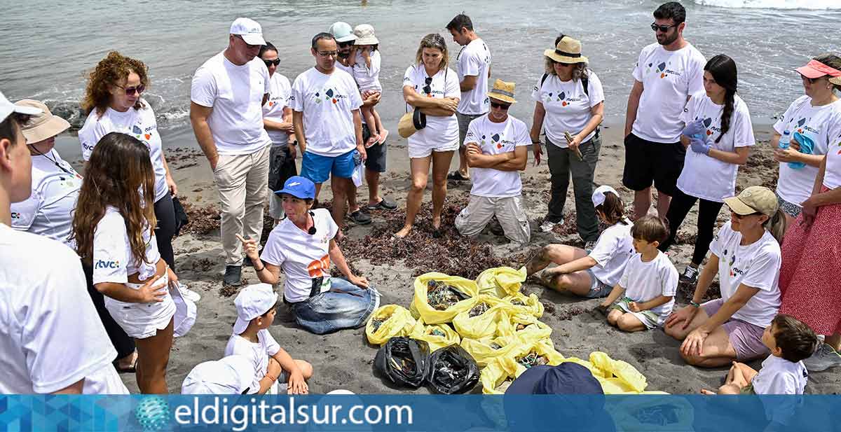 Voluntariado Ambiental, Tenerife