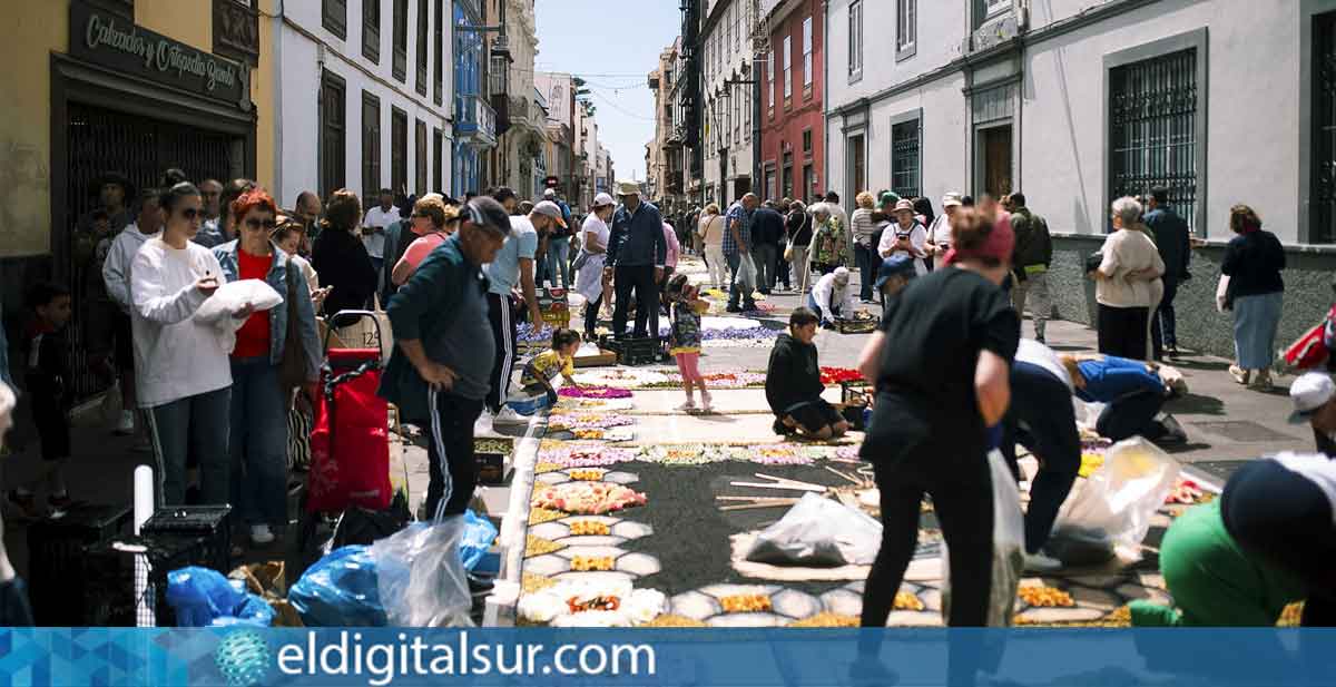 El Corpus Christi volvió a teñir de color las calles de La Laguna con más de 70 alfombras florales