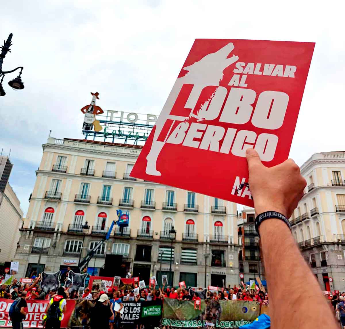 Representantes de organizaciones ecologistas visibilizan sus demandas ante el Congreso