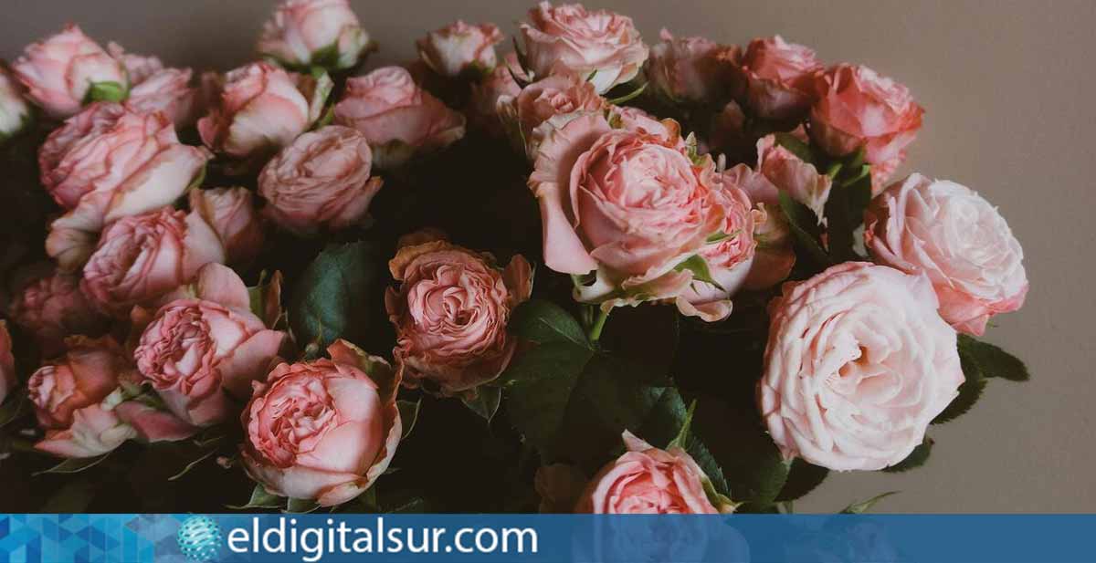 Envío de flores: la forma más fácil de expresar tus sentimientos