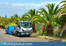Poda y mantenimiento de palmeras
