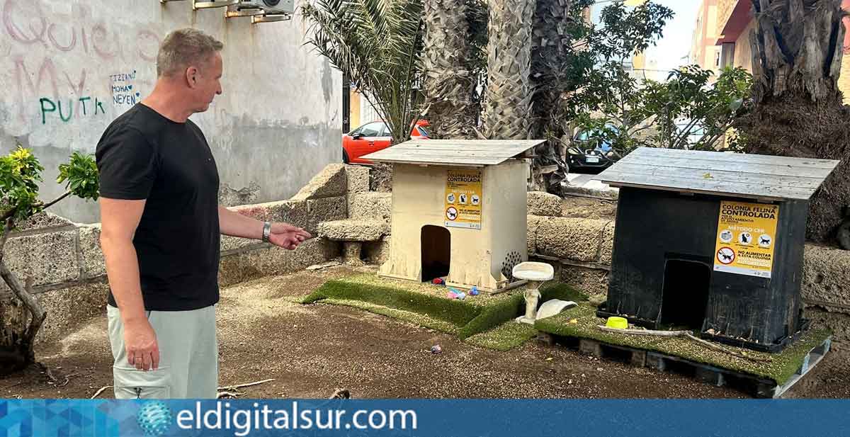 Frank Tolle, concejal del Grupo Socialista de Arona, durante su visita a una de las colonias felinas