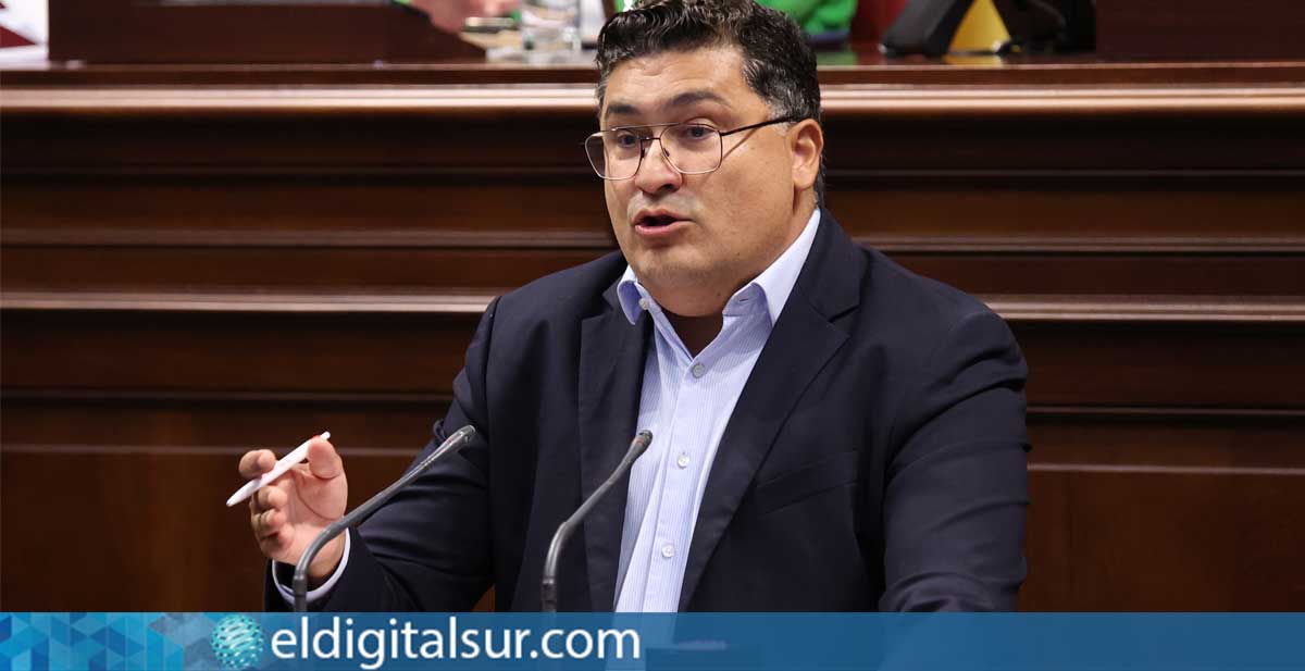 Miguel Ángel Pérez del Pino PSOE Parlamento de Canarias