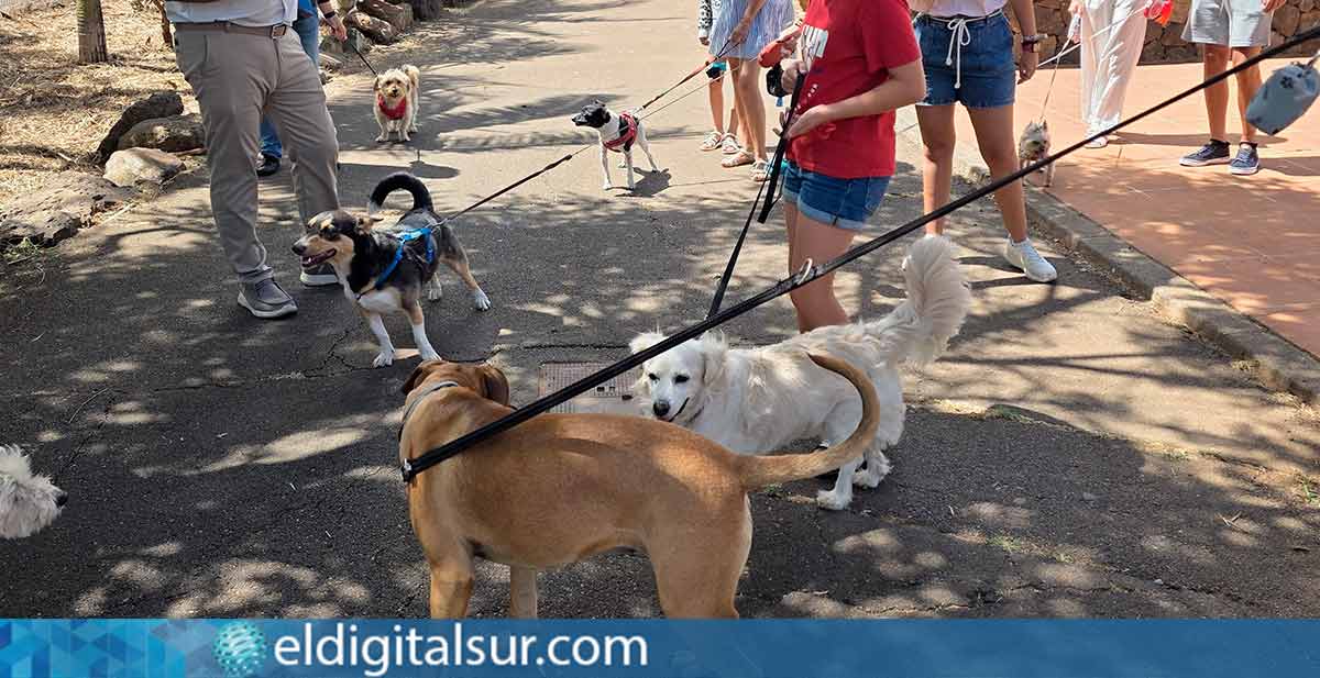 Nuevo parque canino en César Manrique, La Laguna