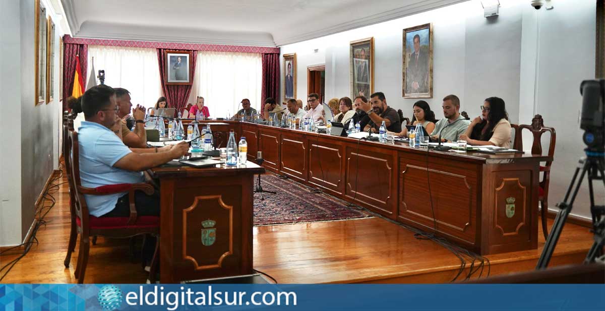 Pleno del Ayuntamiento de Arona