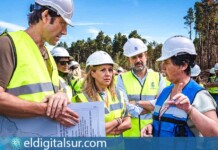 Rosa Dávila y Blanca Pérez anuncian el proyecto de restauración de pinares en Tenerife, con inicio en el Pinar de Acentejo