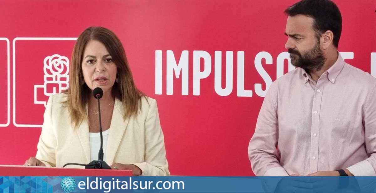 Tamara Raya, secretaria general del PSOE de Tenerife, y Aarón Afonso, portavoz del PSOE en el Cabildo