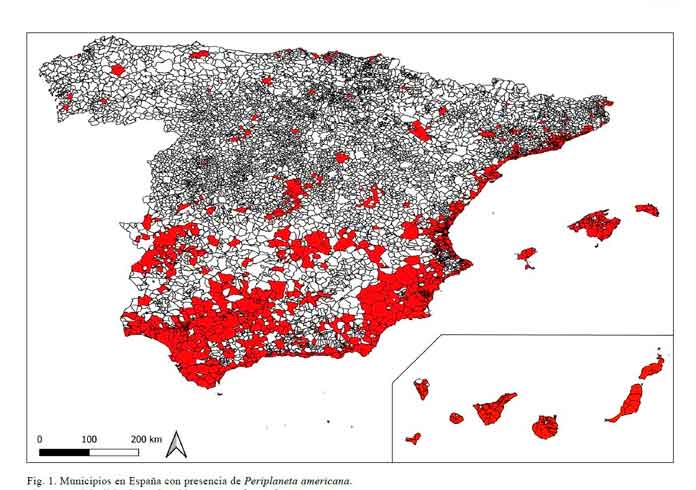 Mapa de distribución de la cucaracha americana en España. Fuente: Anticimex