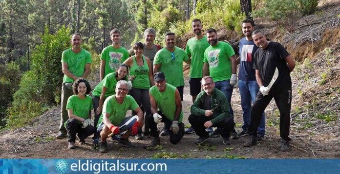 Representantes de la Asociación Corazones de Tejina y los corazones Calle Arriba, Calle Abajo y El Pico en la retirada de fayas en La Tahona