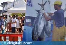 Visitantes en la edición anterior de la Feria del Pescado en la Plaza de La Pescadora, Arona