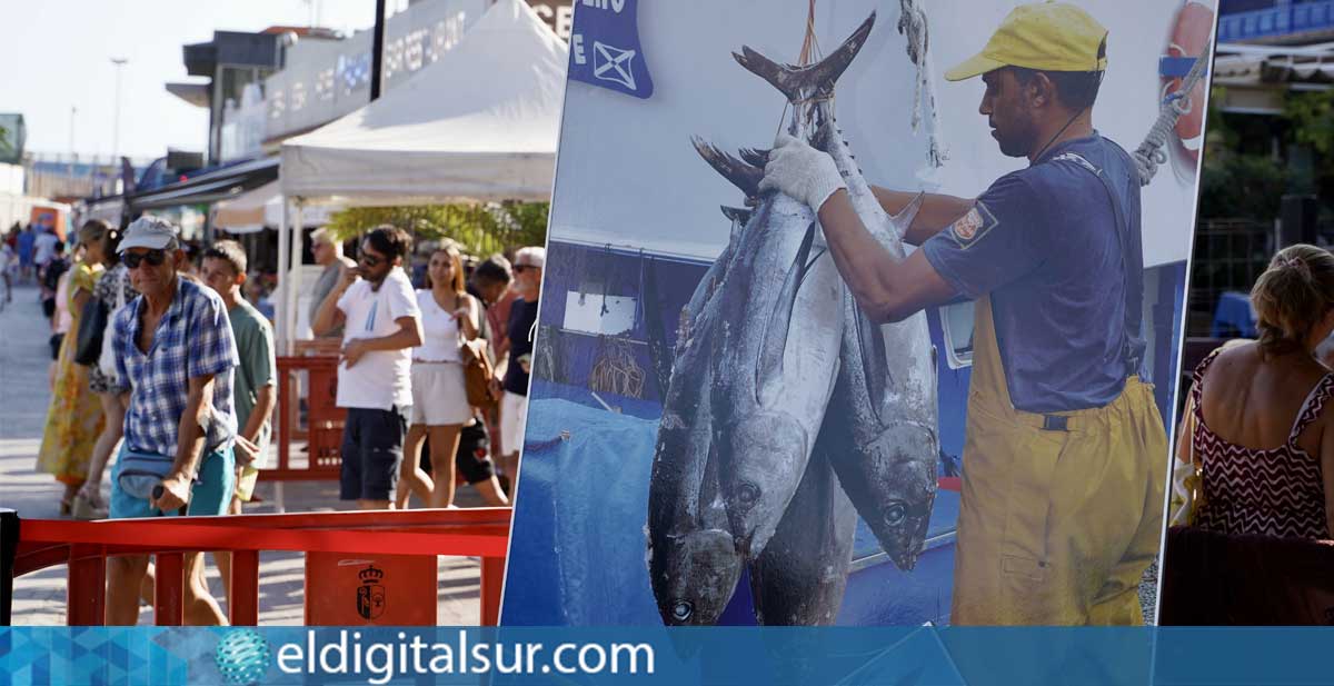 Visitantes en la edición anterior de la Feria del Pescado en la Plaza de La Pescadora, Arona