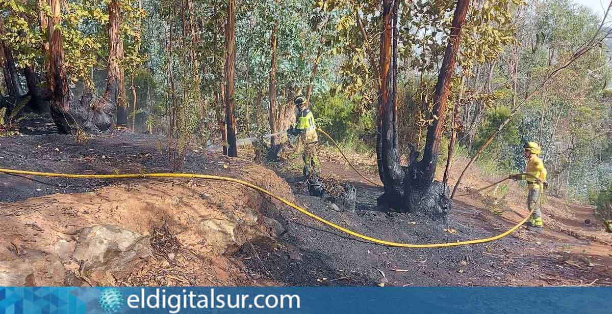 Bomberos de Tenerife trabajaron para extinguir el incendio forestal en La Esperanza
