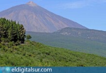 Vista de la Corona Forestal del Parque Natural de Tenerife
