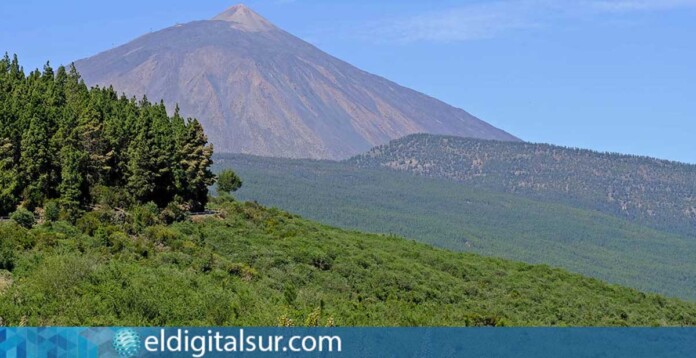 Vista de la Corona Forestal del Parque Natural de Tenerife