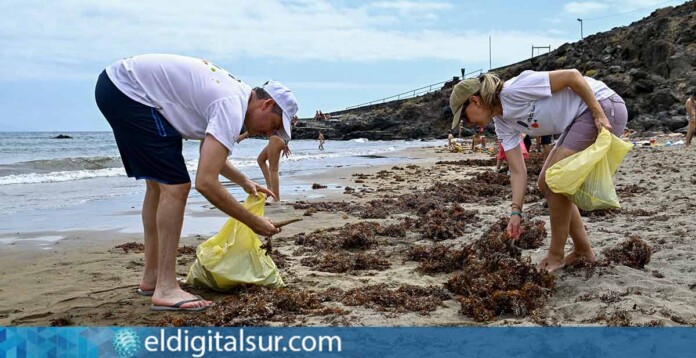 Voluntariado Ambiental