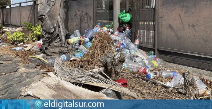 Basura en los exteriores de la terminal, junto a los jardines sin mantenimiento