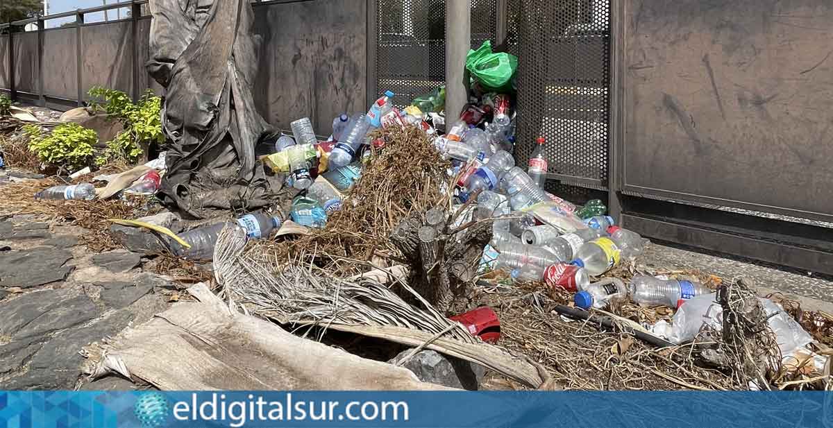 Basura en los exteriores de la terminal, junto a los jardines sin mantenimiento