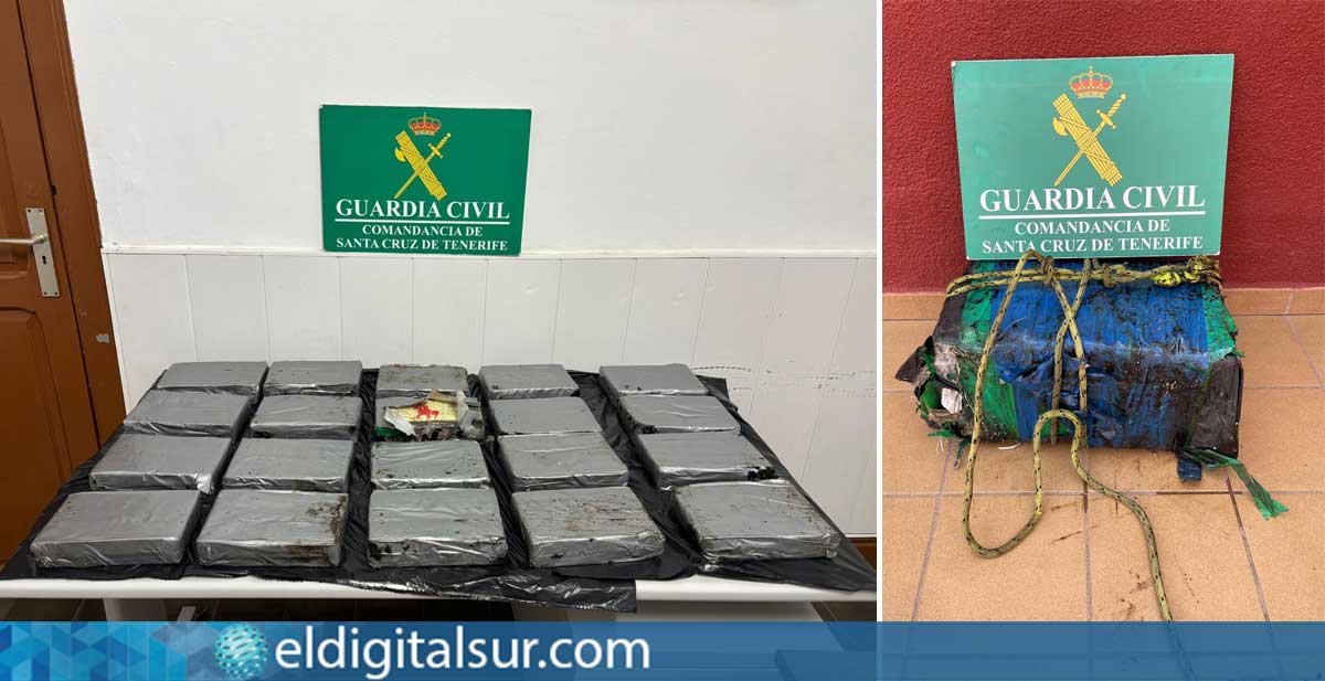 Los más de 20 kilogramos de cocaína incautados por la Guardia Civil en el litoral norte de Tenerife