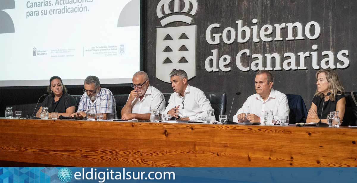 Reunión de trabajo con representantes del sector vitivinícola, administraciones y fuerzas de seguridad para coordinar acciones contra la filoxera en Tenerife