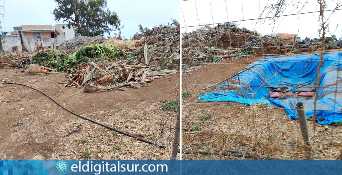 Imágenes del estado de abandono del Parque de El Pinar