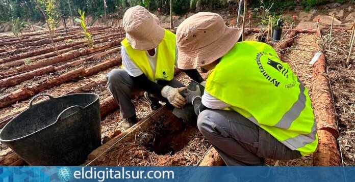 Plan de Empleo Rural