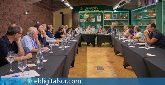 Representantes de las Denominaciones de Origen y técnicos agrícolas en la reunión convocada para coordinar la respuesta ante la filoxera en Tenerife