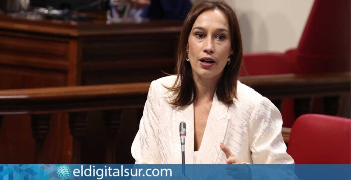 presidenta del Grupo Parlamentario Socialista, Nira Fierro