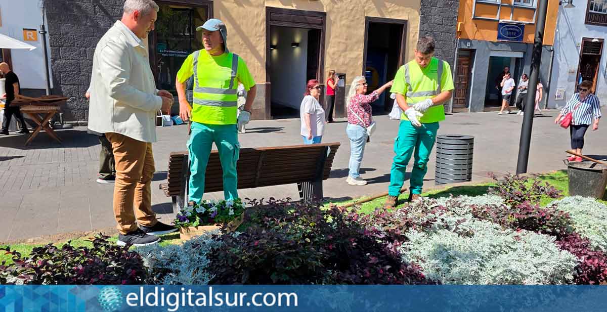 Fran Hernández supervisa los trabajos de plantación de flor de temporada en La Laguna