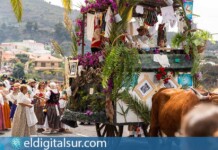 Carretas engalanadas y bueyes participan en la Romería de San José