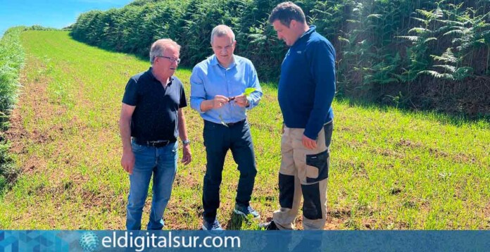 El consejero Valentín González anuncia la línea de ayudas para productores de cereales