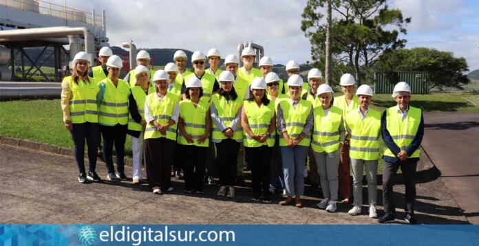 La delegación canaria durante la visita a la Planta Central Geotérmica Pico Vermelho en Azores