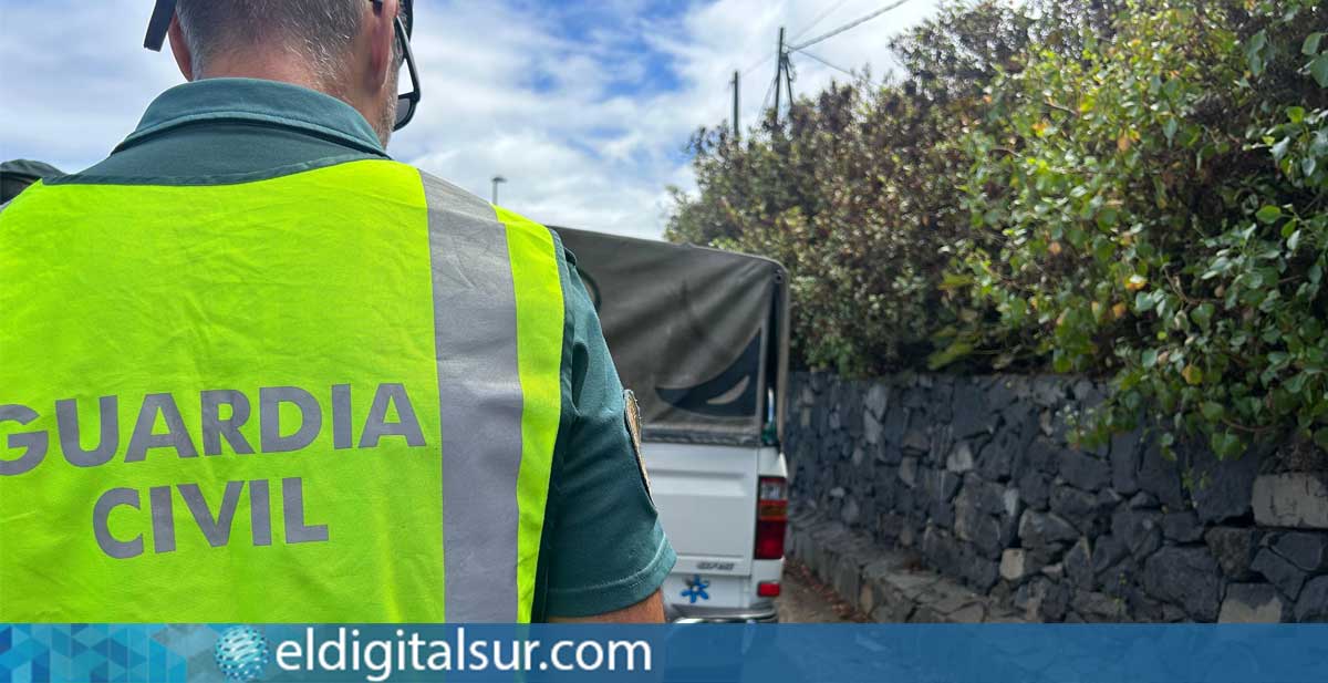 Agentes de la Guardia Civil en un control de carretera en Tenerife