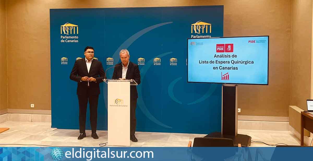 Sebastián Franquis y Miguel Ángel Pérez del Pino, portavoces del Grupo Parlamentario Socialista, durante la presentación de su denuncia sobre las listas de espera del Servicio Canario de la Salud