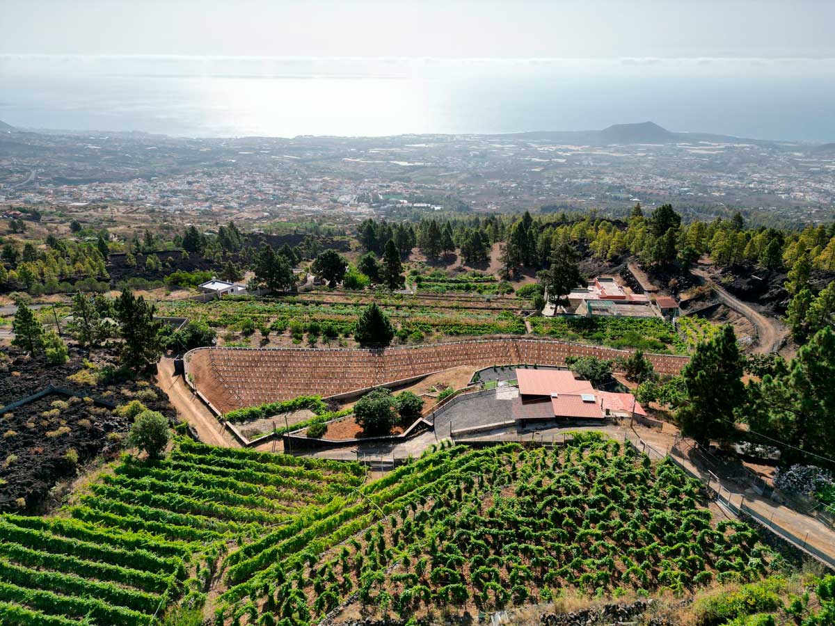 Fot. Finca Ecológica Ferrera. Alojamiento Rural.