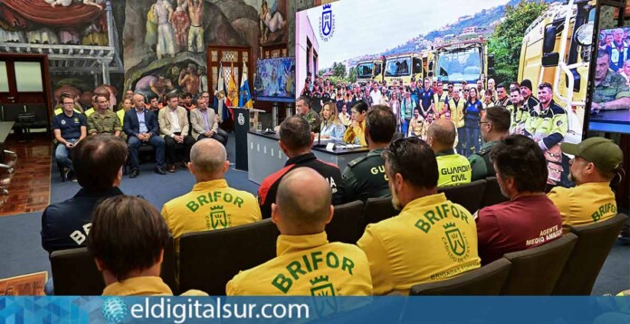 Balance Operativo Brifor Verano 2025