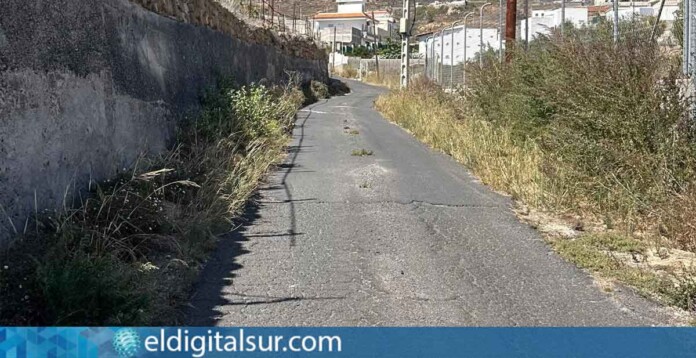 Carretera de La Sabinita, en Arico