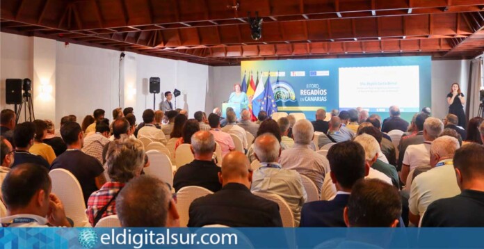 Foro-de-Regadíos-de-Canarias,-en-la-isla-de-La-Palma-081025