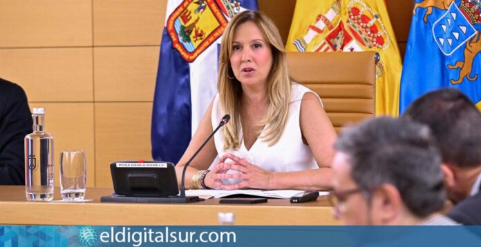 Rosa Dávila, presidenta del Cabildo de Tenerife / EDS