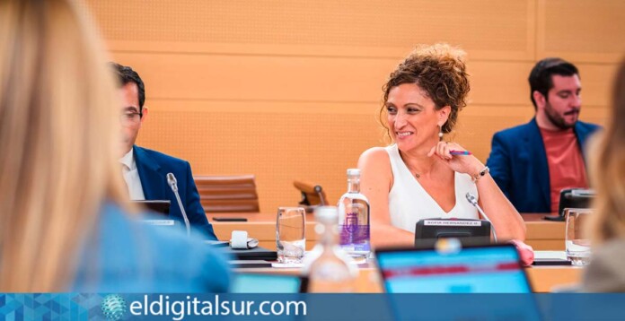 Sonia Hernández, consejera insular de Cooperación Municipal
