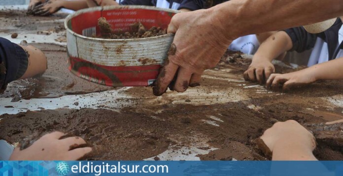 Taller educativo de bombas de semillas locales