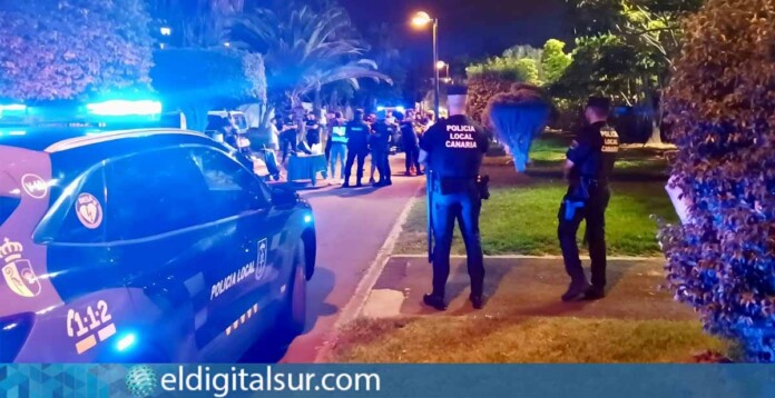 Agentes de la Policía Local y Nacional de Arona durante uno de los operativos contra la venta ambulante irregular en las zonas turísticas del municipio