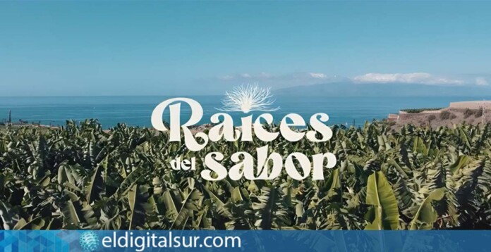 Campaña audiovisual “Raíces del Sabor”