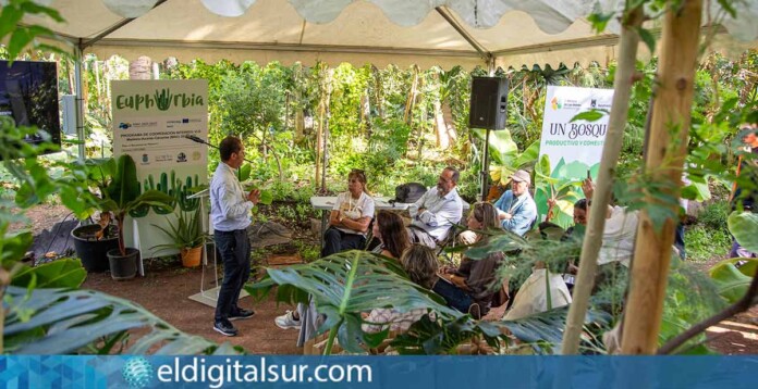 Visita-Bosque-Productivo-de-Las-Nieves--111125 Representantes de Teguise, Câmara de Lobos y Praia visitan el Bosque Productivo de Las Nieves en Adeje