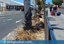 El Aeropuerto de Tenerife Sur-Reina Sofía