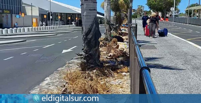 El Aeropuerto de Tenerife Sur-Reina Sofía