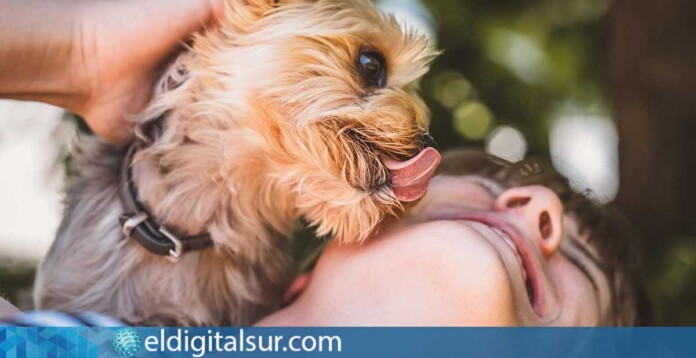 Una mujer pasea con su perro